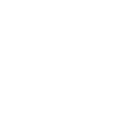 feature-item-1